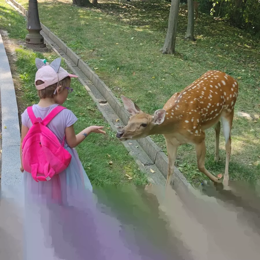 Прокат велосипедов Veliki.ua. Межигорье, Западный вход