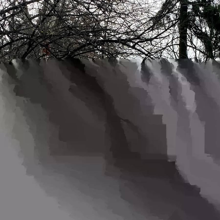 Інститут педіатрії, акушерства і гінекології НАМН України