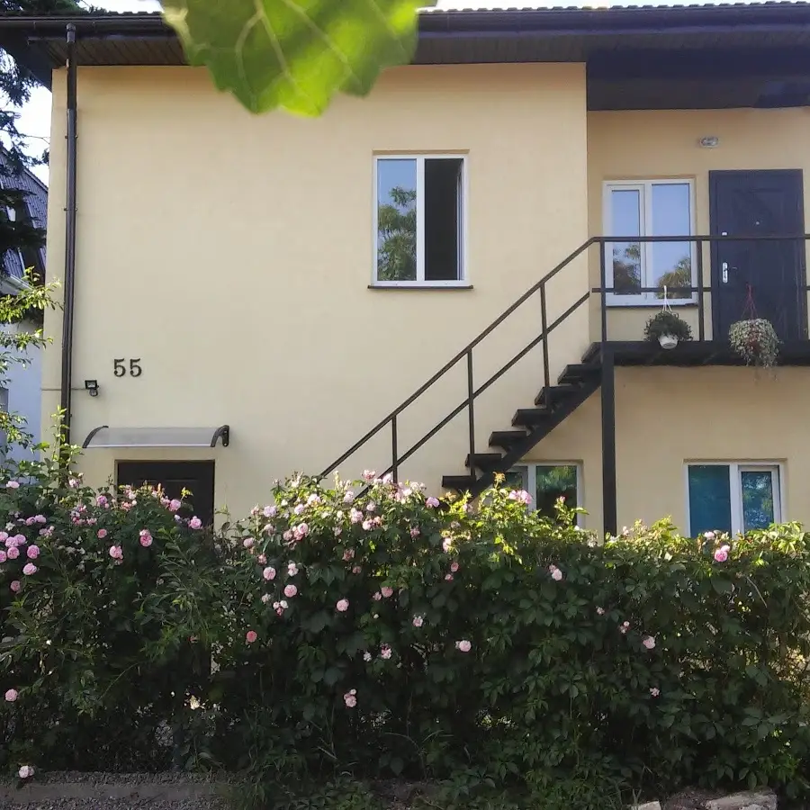 Бамбуковий гай