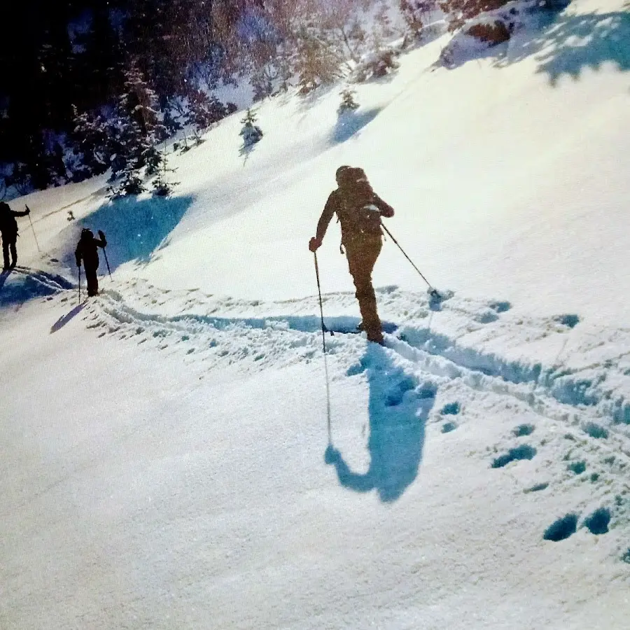 вело/лыжный прокат сервис Новобеличи