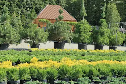 Садовий Центр Пісардi