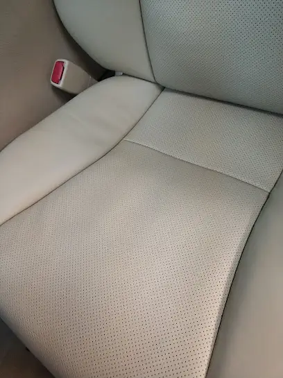 Lederfix (Університет)