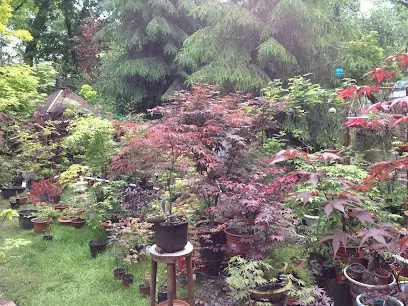 Садовий центр Florinda