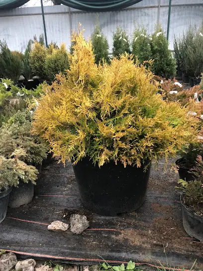 Садовий центр