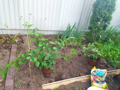 Садовий центр ТАВІЯ