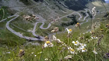 Лікар-психолог Ганна Радченко