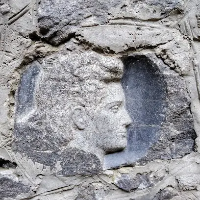 Головна юридична компанія