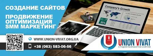 UNION VIVAT создание разработка сайтов, раскрутка и продвижение Васильков