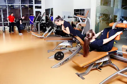 Альпійський