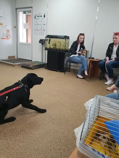 Ветеринарна клініка Умка