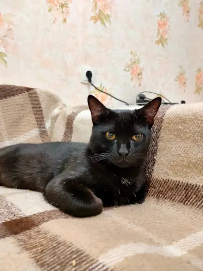 Ветеринарний центр Літвінової