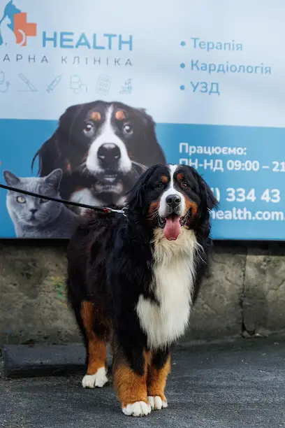 RoniHealth Ветеринарна клініка