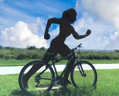 Прокат 100 КОЛІС