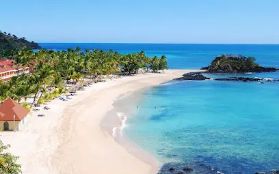 Березняки, пляж