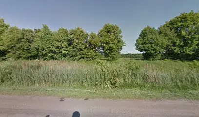 ETS Group продаж легкових шин, вантажних шин та шин для спецтехніки