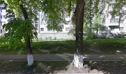 Киевская федерация боевых искусств &laquo;Дракон