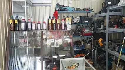 Ремонт электро и бензоинструмента