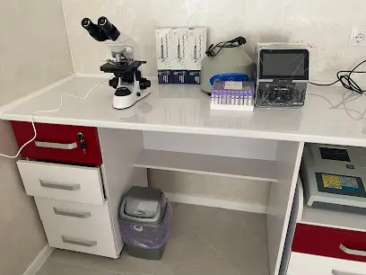 Ветеринарна клініка Vet Station