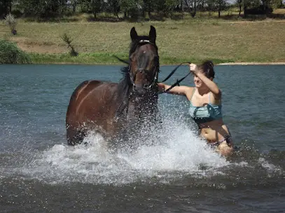 Конный клуб "Sunny Valley" детский конный лагерь