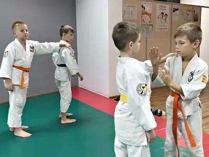 дитячий спортивний клуб #Aiki_Ditky на Позняках