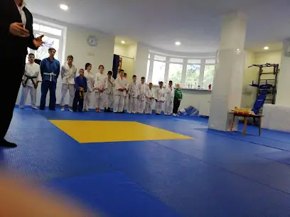 Спортивний клуб дзюдо Антей