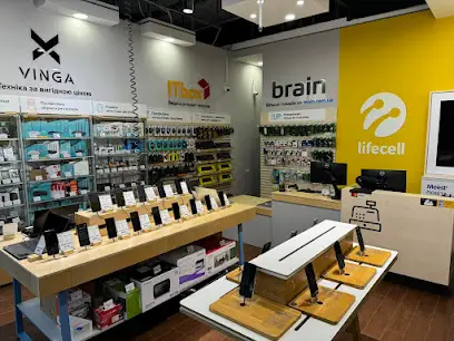Brain