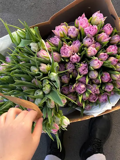 Студія квітів &laquo;Sunflower&raquo;