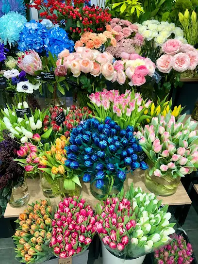 Камелія - квіти, букети