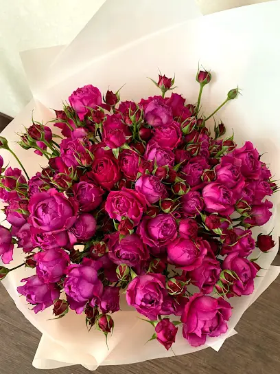 Камелія - квіти, букети