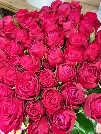 Цветы На Русановке