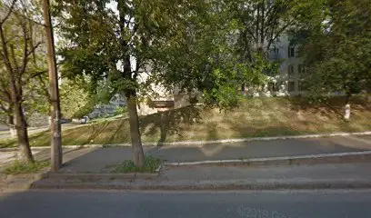 Українська хімчистка