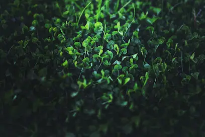 Интернет магазин Aquashop