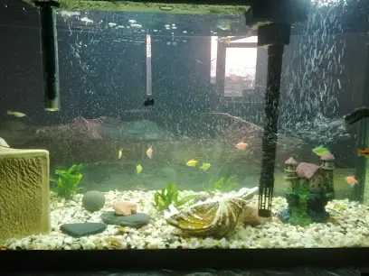 Зоомаркет MasterZoo