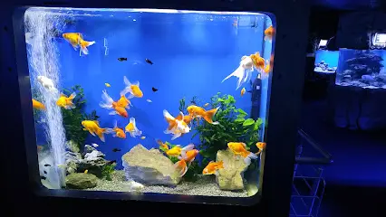 Океанаріум &laquo;Морська Казка&raquo;