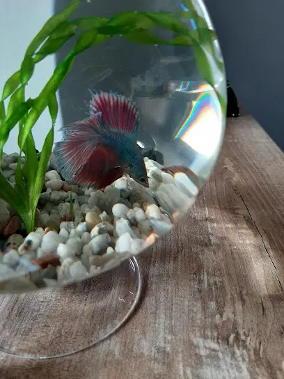 Зоомагазин, салон краси для тварин, ветклініка Planeta Zoo