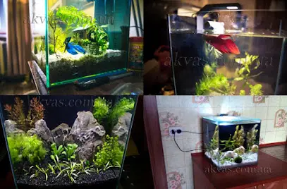 Аквариумы Аквас. Интернет Магазин.