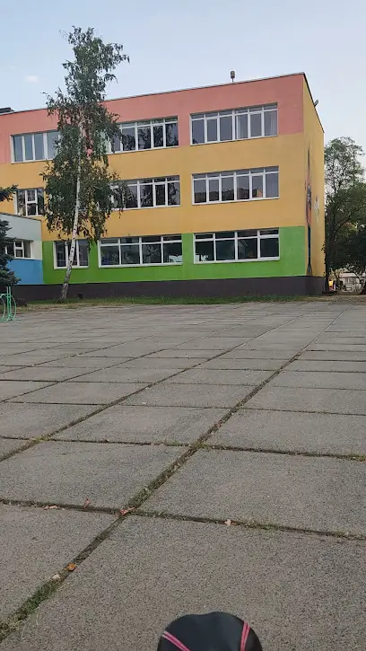 ДСТШ Феникс