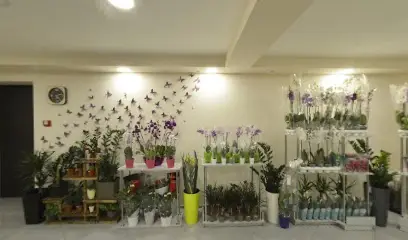 Квітковий магазин Орхідея
