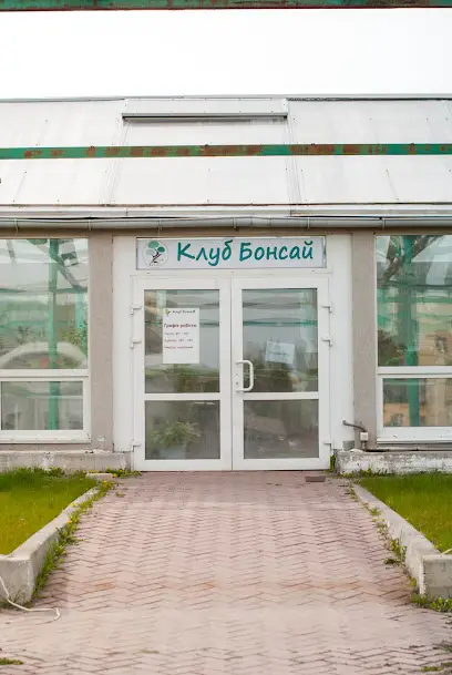 Сlub Bonsay