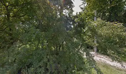 Еврошпагат ЧП Сena ua