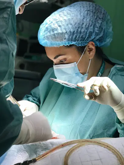 Пластический хирург Ани Мелоян