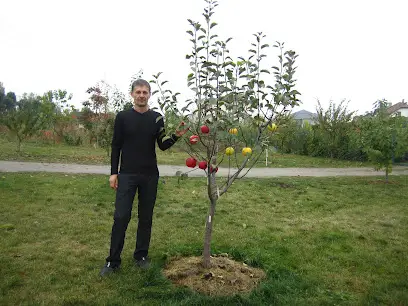 Садово-дизайнерський центр &laquo;Shoni&raquo;