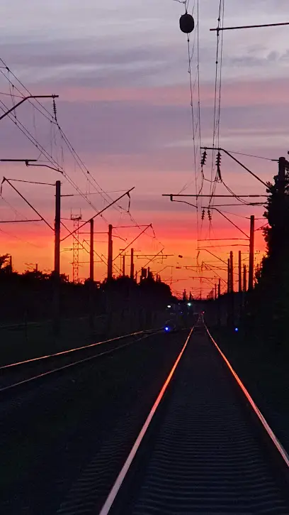 СТО "Електрон"