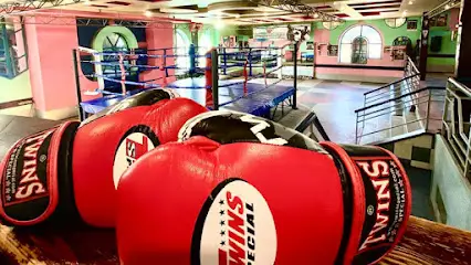 Бійцівський спортивний клуб &laquo;KOZENKO&raquo;