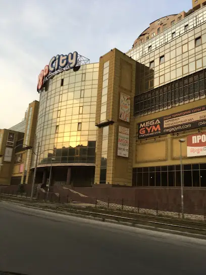 ТДВ &laquo;СК &laquo;ПРЕМ'ЄР ГАРАНТ ПРОФІ&raquo;