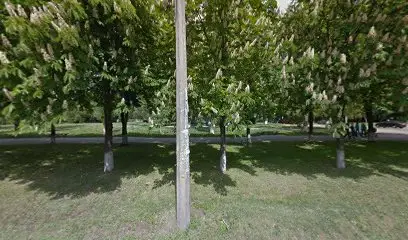 Дитячо-юнацька спортивна школа №26