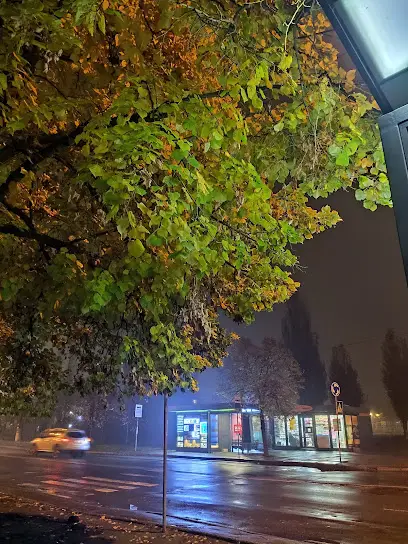 Бібліотека ім. І.Сергієнка для дітей