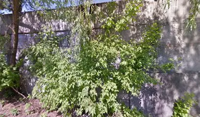 Мийка "InТурист"