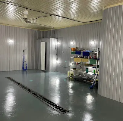 Автомийка Амстердам