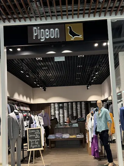 Pigeon